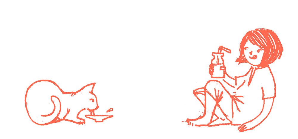 ultimaImagen-dibujarGato
